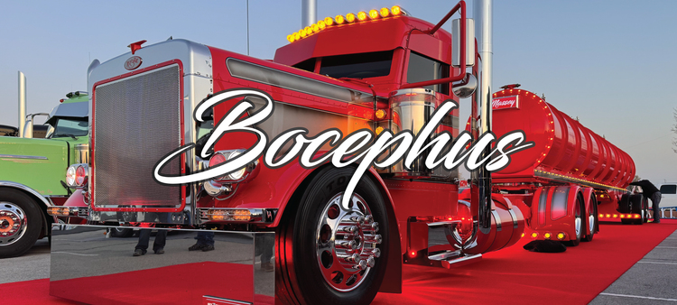 Bocephus